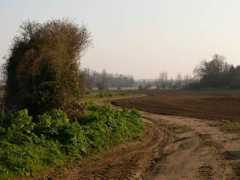 geograph.org.uk Furrows