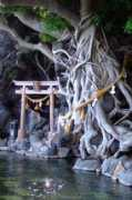j-foto.com Furusato