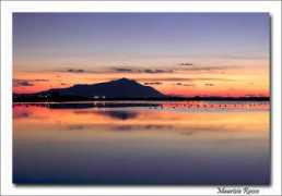 Fusaro