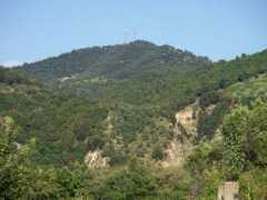 Fuscaldo