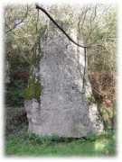 Fuseau