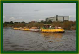 Fusedale