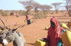 allafrica.com Gaarane