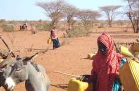 allafrica.com Gaarane
