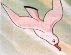 Gabbiana