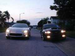 mustangworld.com Gabors