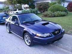 mustangworld.com Gabors
