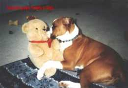 myboxerpuppy.com Gabrie