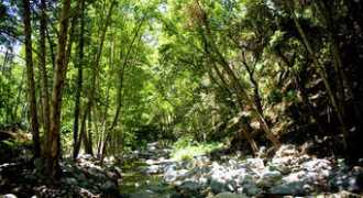 blogging.la Gabrielino