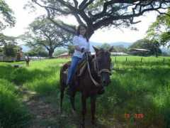 camparrowhead.com Gabyh