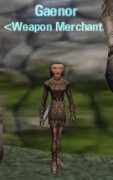 camelot.allakhazam.com Gaenor