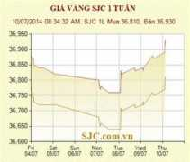 vietbao.vn Gafin