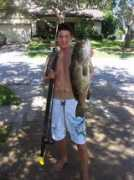 spearboard.com Gaggin