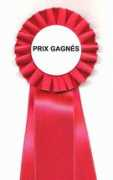 Gagnes
