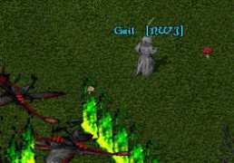 uo.stratics.com Gaii