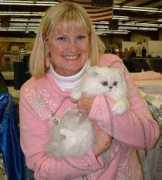 kittikamir.com Gailand