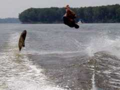 derek.broox.com Gainer
