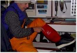 sitesalive.com Gaitors