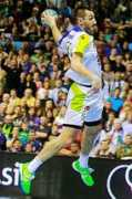 Gajic