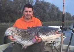 wwwserv.co.uk Gajur