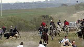 Galache