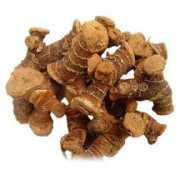 germes-online.com Galangal