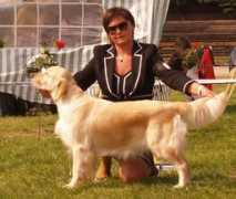 hannasgoldenprincess.com Galans