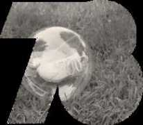nike78.co.uk Galapon