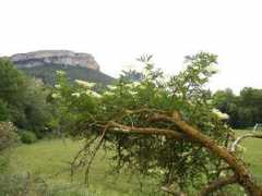 panoramio.com Galdeano