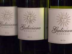 carolinacooking.tv Galiciano