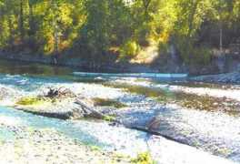 montanariveraction.org Gallatin