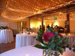 marigoldcatering.com Galleries