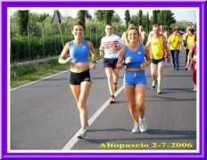 3province.net Galline