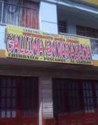 humor12.com Gallino