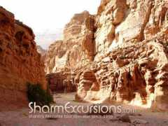 sharmexcursions.com Galum
