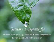 Gambaru
