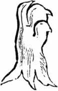 Gambe