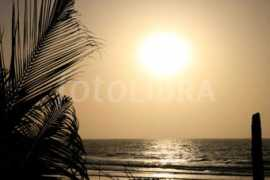 fotolibra.com Gambian