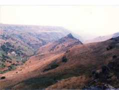 ascentofsafed.com Gamla