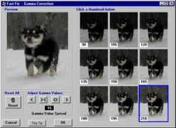 photoelf.com Gamma