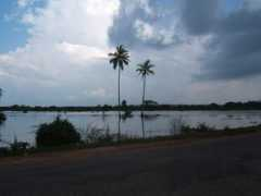 panoramio.com Gampaha
