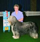 ourdogs.co.uk Ganarin