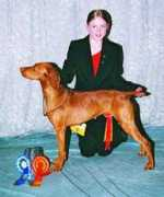 ourdogs.co.uk Ganarin