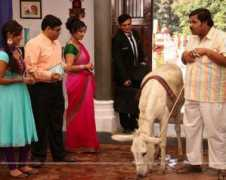india-forums.com Ganatra