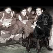 ncanewfs.org Gander