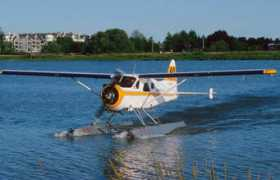 dhc-2.com Gandet
