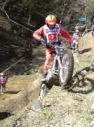 todotrial.com Gandine