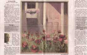 shirleynovak.com Gangelhoff