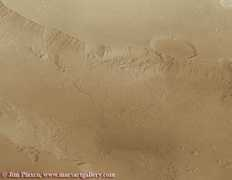 marsartgallery.com Gangis