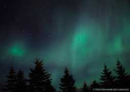 iceland.pl Ganiec
